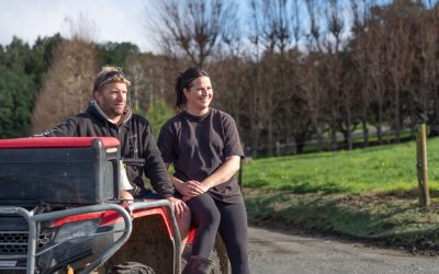 Taking A Leap of Faith Into Kiwifruit